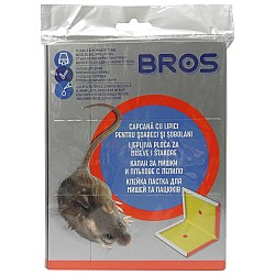BROS - soareci si sobolani capcana adeziva, aroma de nuci - NOU!