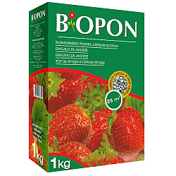 BIOPON ingrasamant pentru capsuni si fragi 1 kg
