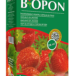 BIOPON ingrasamant pentru capsuni si fragi 1 kg