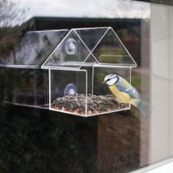 Hrănitor de păsări din acril, 15 x 10 x 15,3 cm, FB370