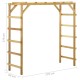 Spalier de exterior, 170x60x170 cm, lemn masiv de pin Spalier de exterior, 170x60x170 cm, lemn masiv de pin