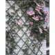 Nature Gard de grădină tip Trellis, 100 x 200 cm PVC, verde, 6040704 Nature Gard de grădină tip Trellis, 100 x 200 cm PVC, verde, 6040704